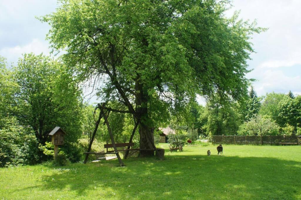 Agroturystyka Ropienka Buitenkant foto